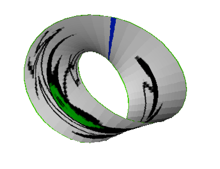 Cell wrapped to form a torus